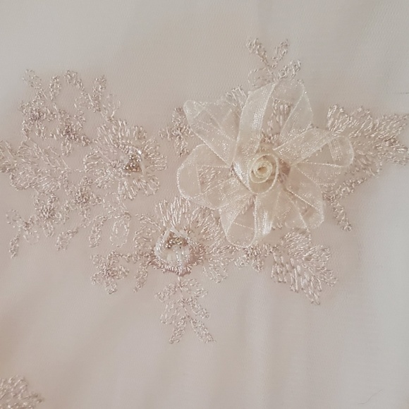 David's Bridal Ivory Lace Wedding Dress with Veil - Picture 6 of 8